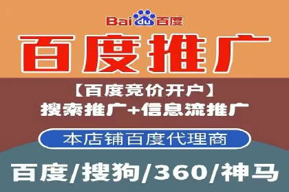 行业领先企业如何通过SEM运营提升ROI